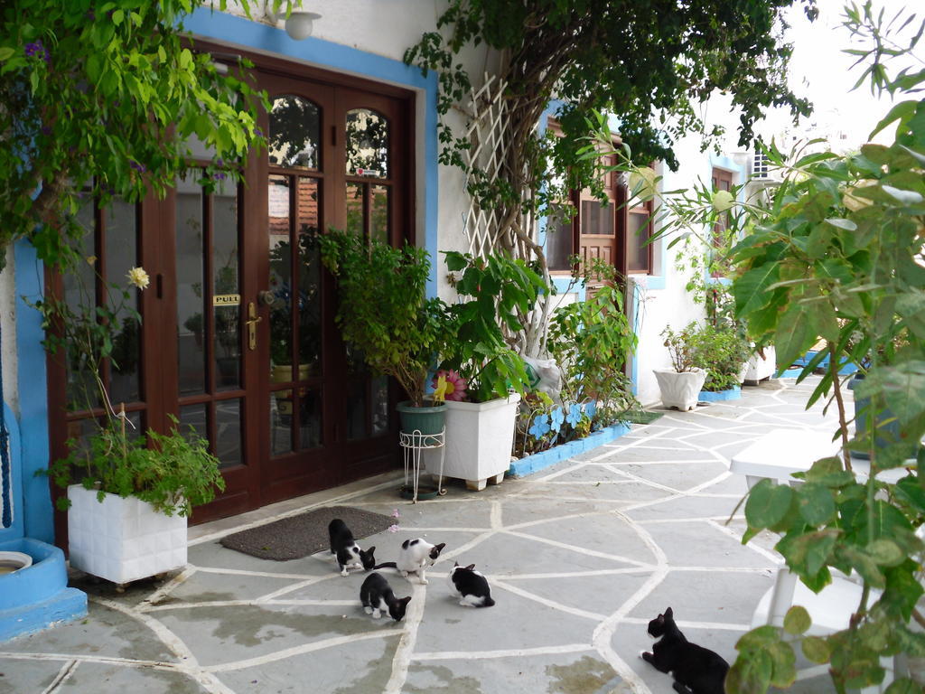 Mertonas Studios Karpathos Exterior photo